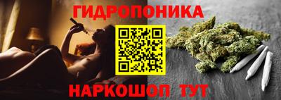 jwh Новодвинск
