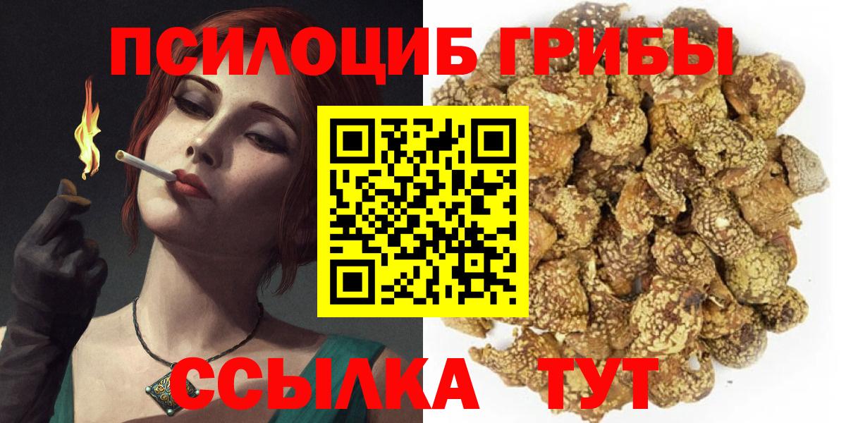 купить закладку  Вход с VPN  Пушкино  Галлюциногенные грибы Magic Shrooms 