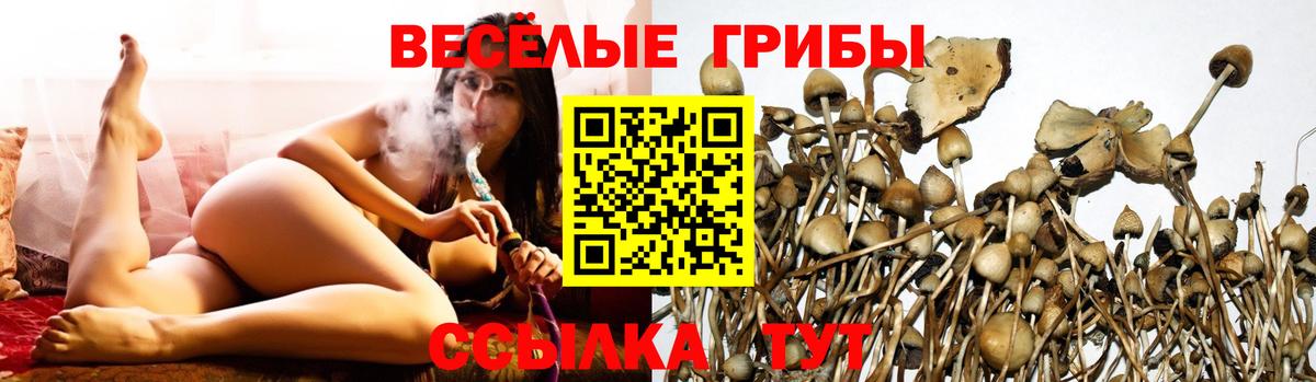 Псилоцибиновые грибы ЛСД Пушкино